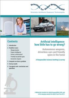 AI report cover (SGR) ""