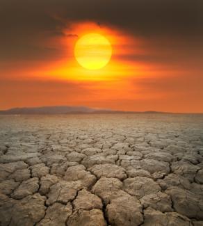 Scorched desert image