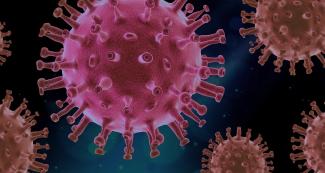 Virus (PIRO4D) Virus (PIRO4D)